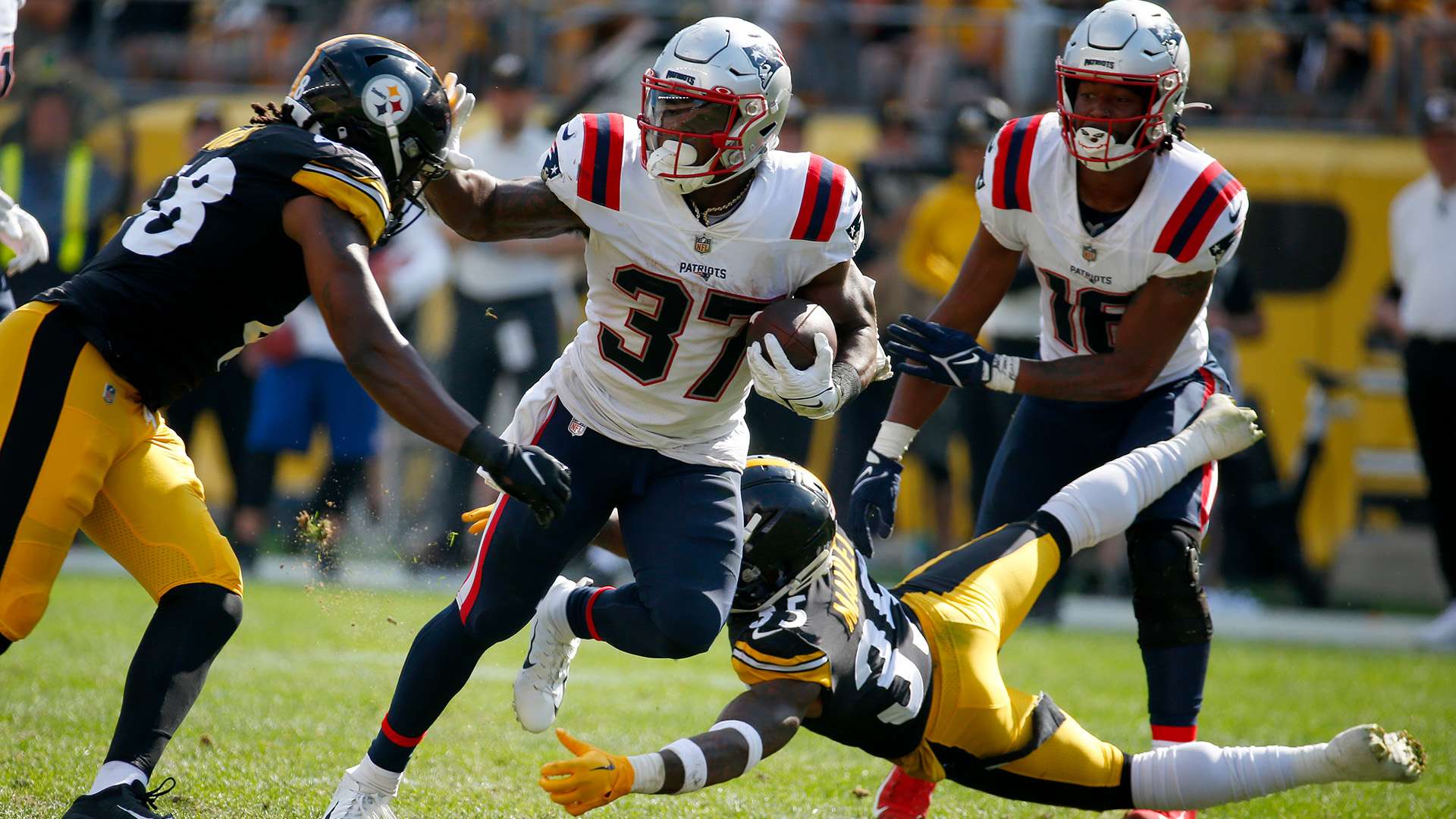 作为国内沙 作为国内沙